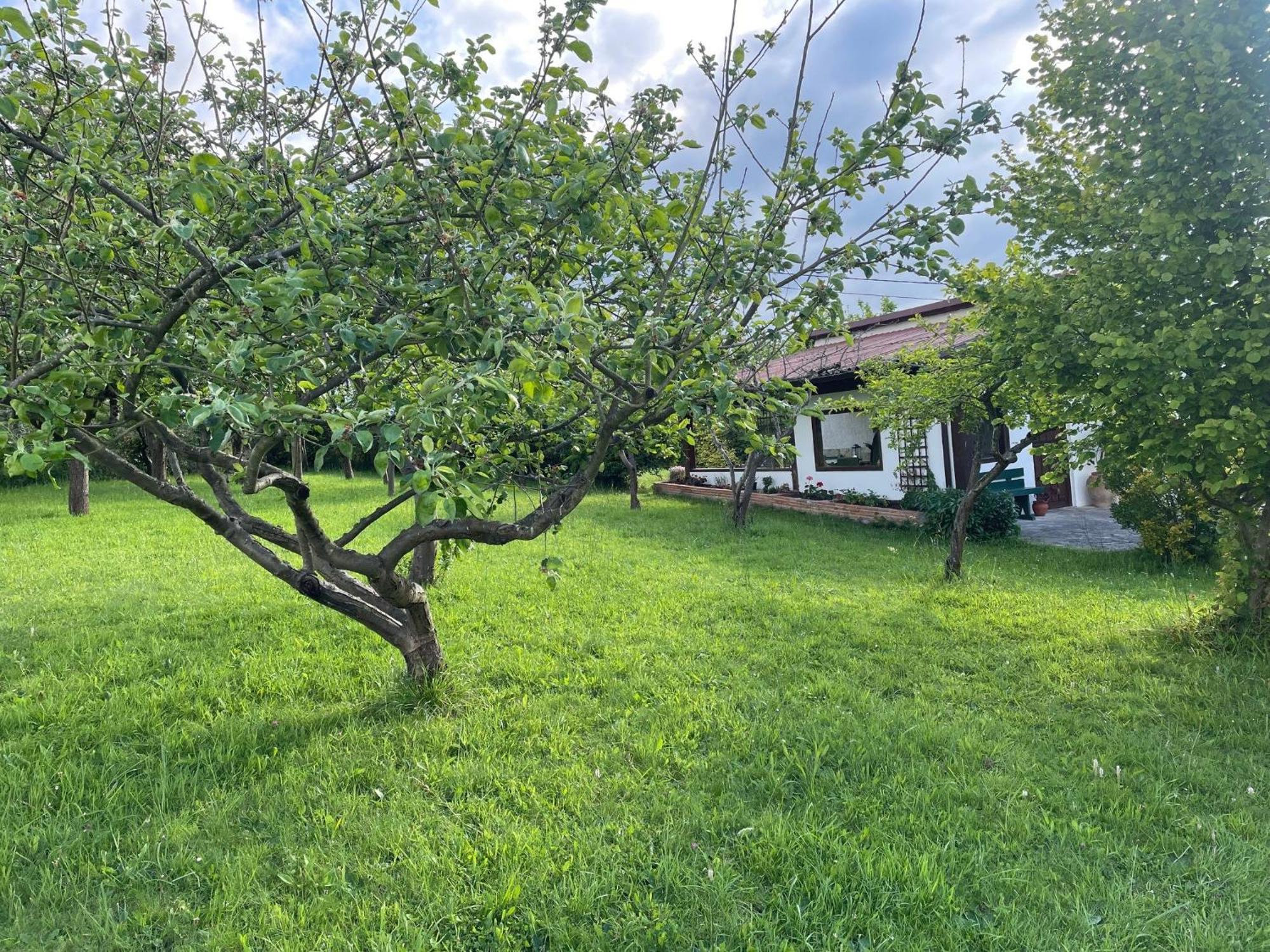 Willa Casa Benjamin Oviedo Zewnętrze zdjęcie